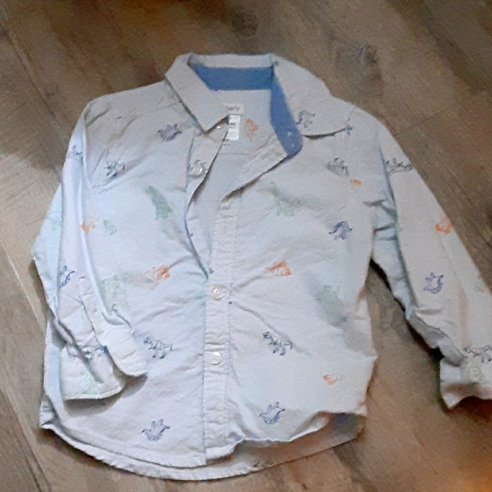 Toddler button down